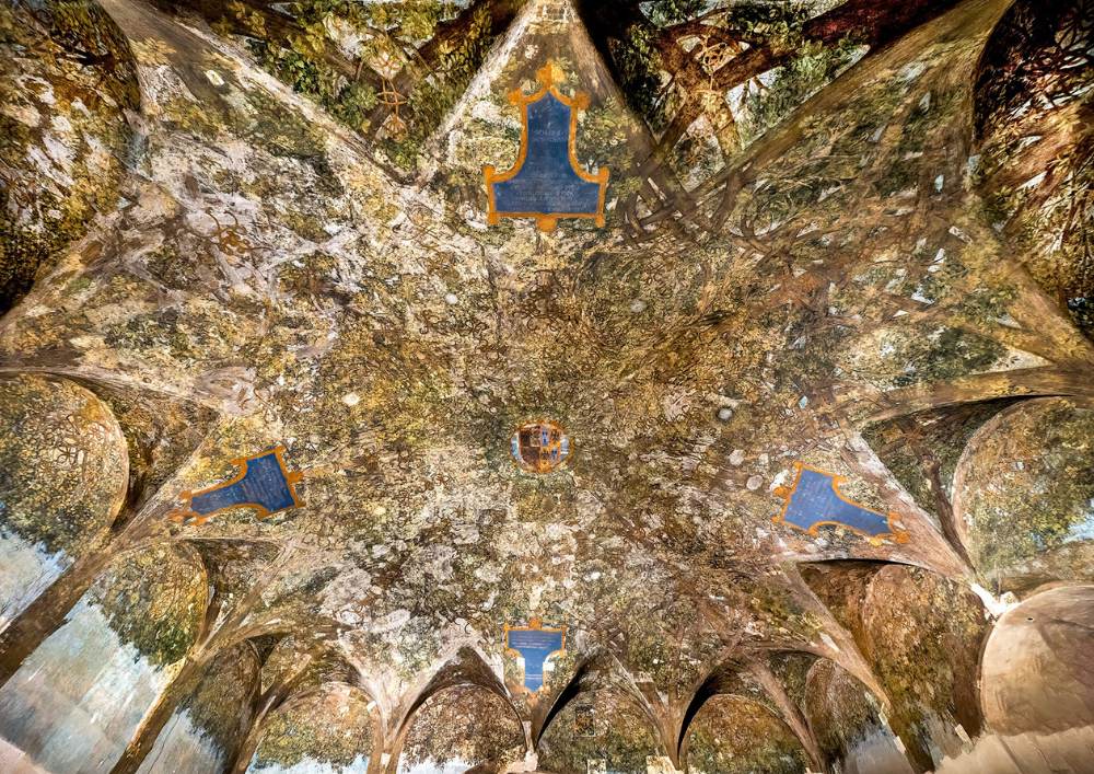 Sforza Castle Sala delle Asse