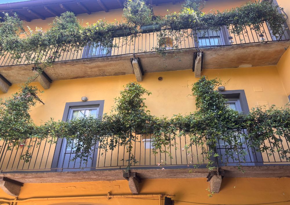 tenement house case di ringhiera Milan